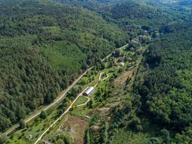 Ipolytarnóc Fossils