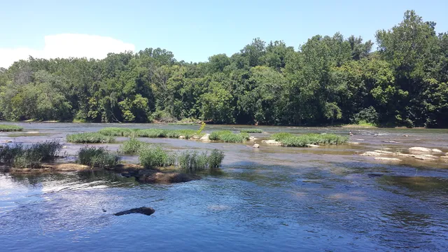 Shannondale Springs Wildlife Management Area West