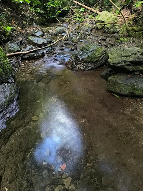 Mt. Takao Trail 6 (Biwa Falls Course)