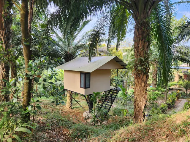 Chaliyar Resort - Camp @ Chaliyar Hills