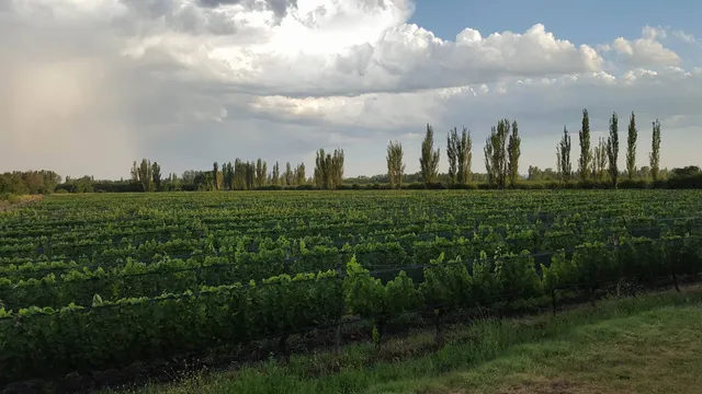 Rancho Divino Argentina