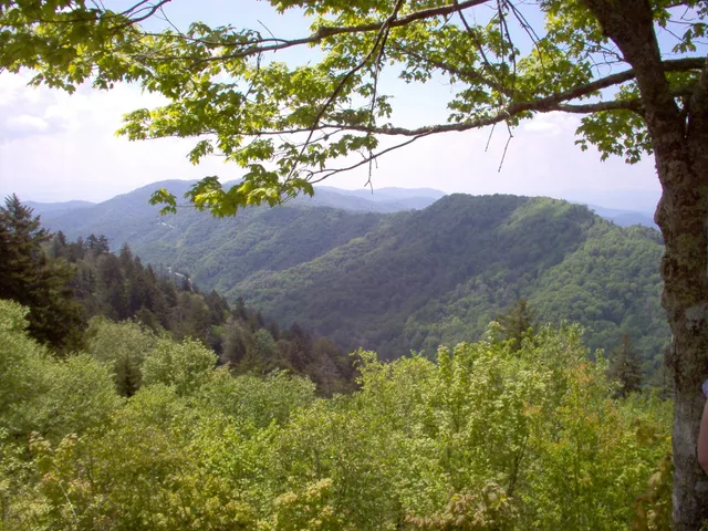 Bullhead Quiet Walkway