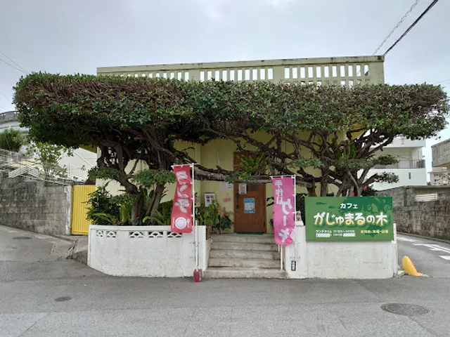 Gajumaru Tree Cafe