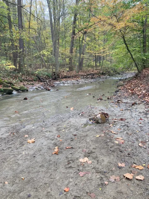 Sand Run Metro Park-North Hawkins Area
