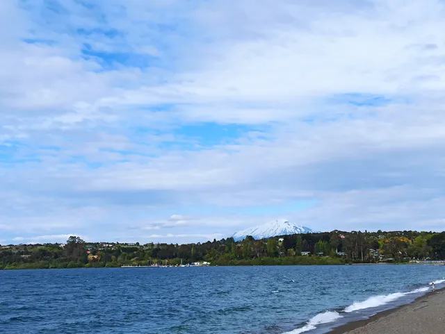 Alto Patagonia By HOM