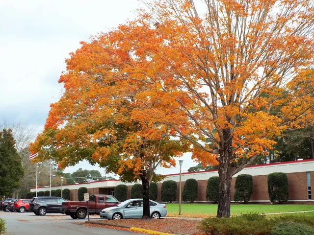 Martin Community College