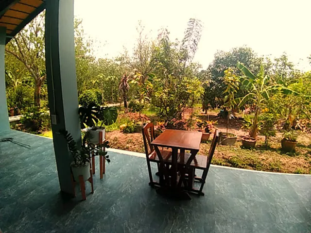 The Pillow Café เดอะพิลโล่ คาเฟ่