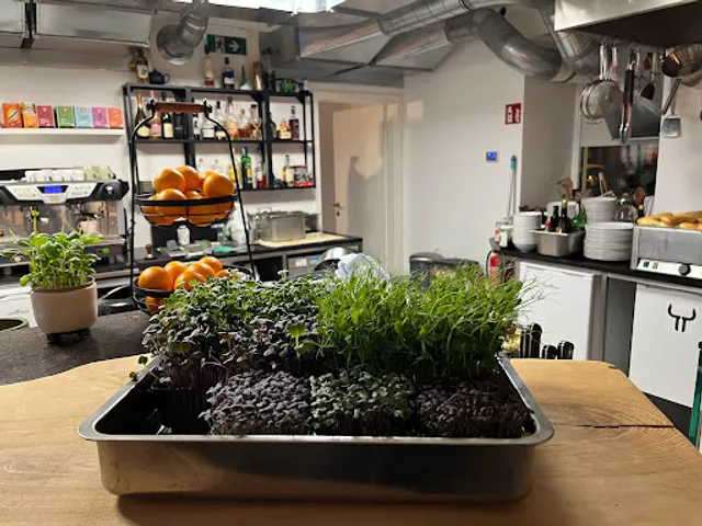 Bagetteria beim Stier