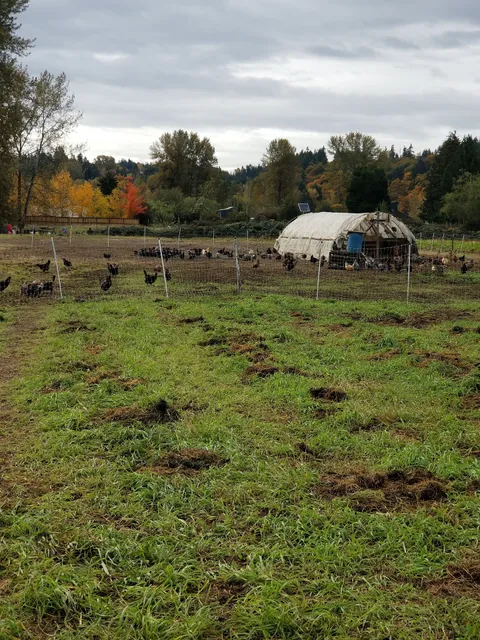 Wild Hare Organic Farm