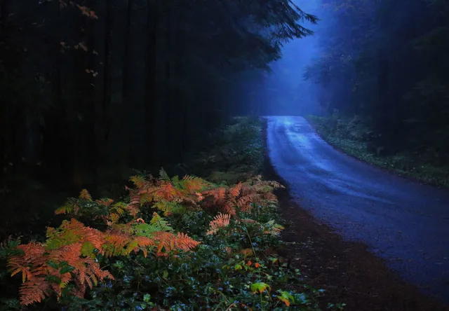 Glacier Creek Sno-Park