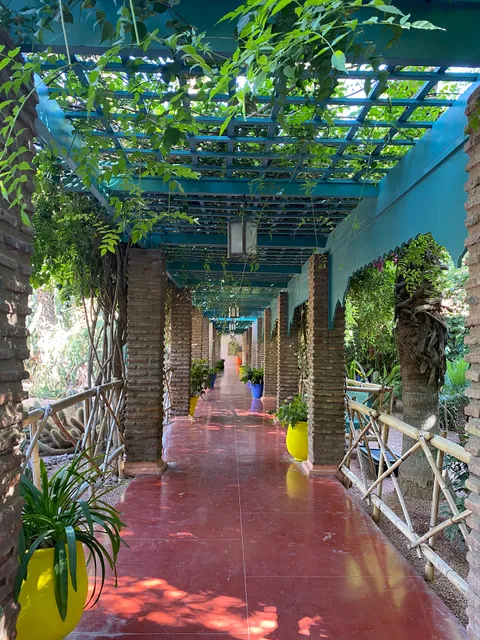 Majorelle 3