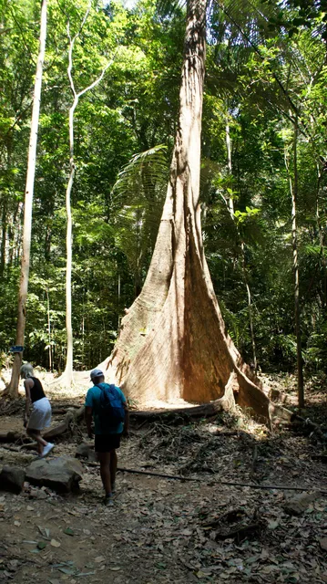 "Wonderland" stairs (trail to caves, monk huts, jungle)