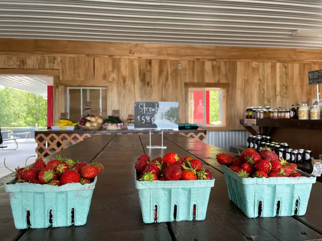 Glosser's Soft Serve