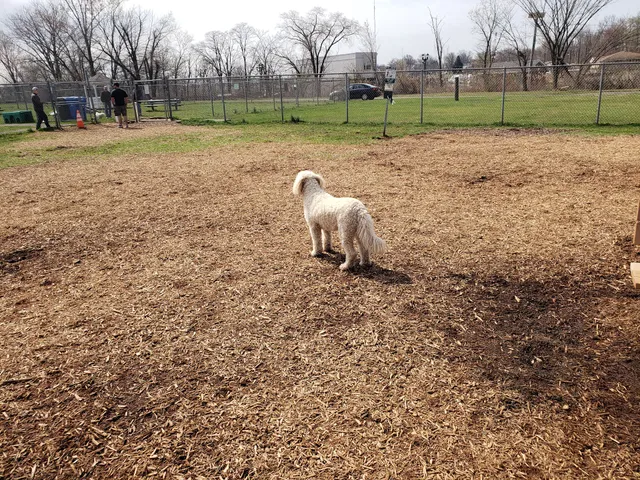 Woodbridge Dog Park