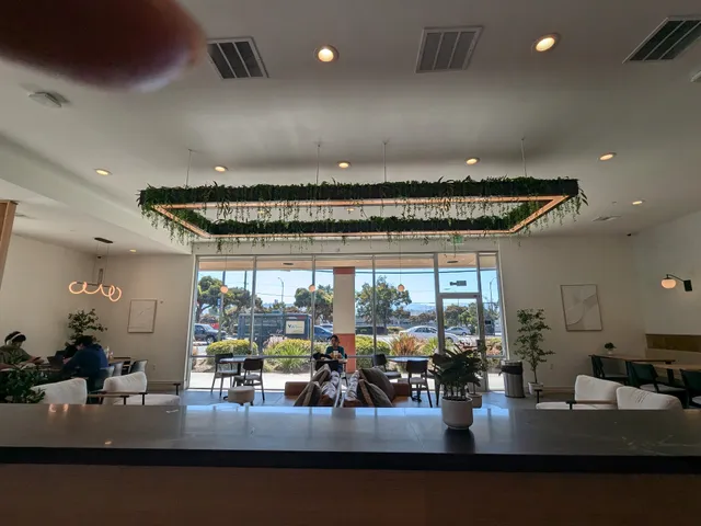 7 Leaves Cafe - Blossom Hill