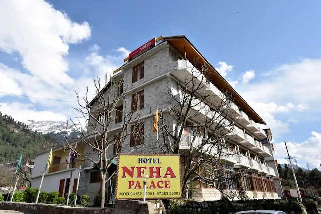 OYO 12425 Neha Palace