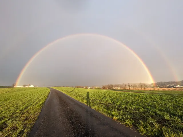 Gap View Farm Market