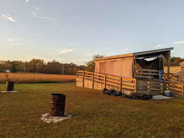 Historical McHorneys Odditorium