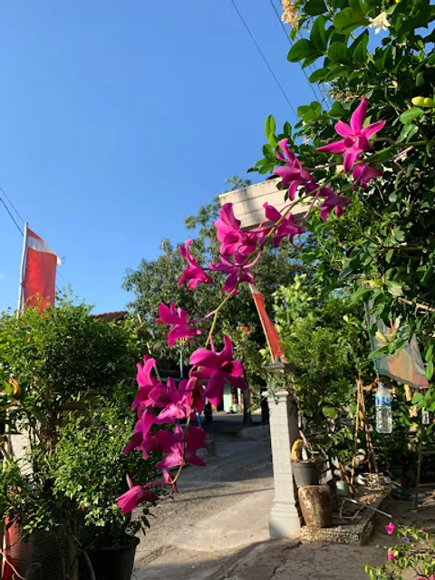 Tengkleng iga pak yanto