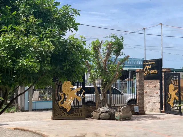 Vui Homestay - Hồ Tràm