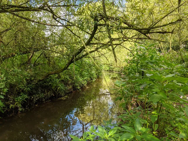 Redbrook Wildlife Trail