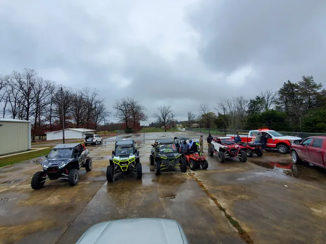 The Hanging Limb Horse Ring