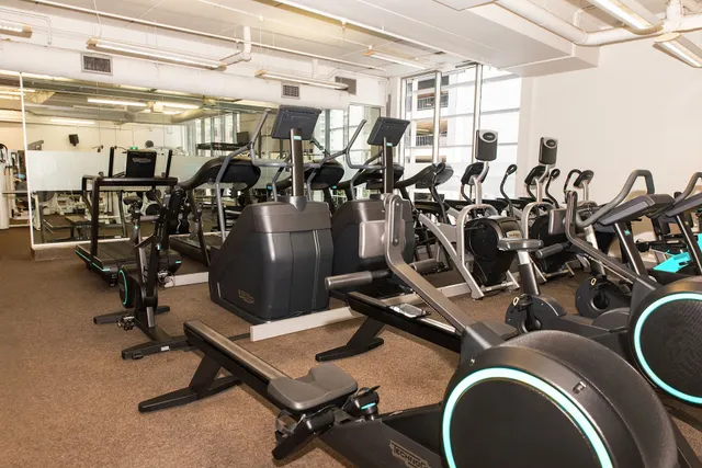 Tortoise Gym Auckland CBD