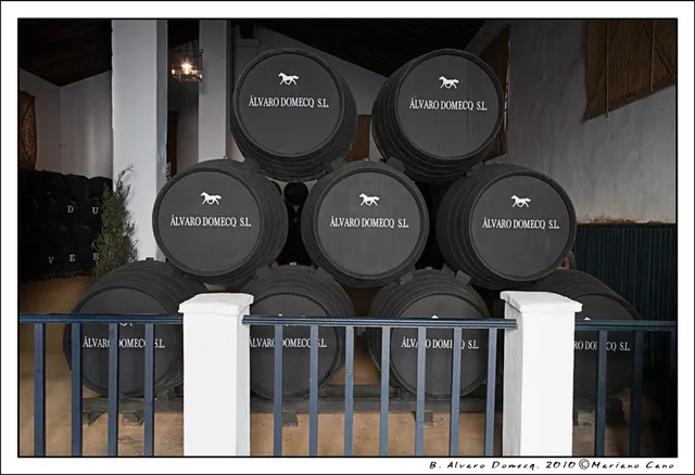 BODEGAS ÁLVARO DOMECQ, S.L.