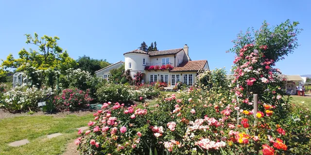 Russian River Rose Co