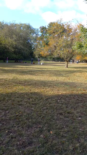 Dog park