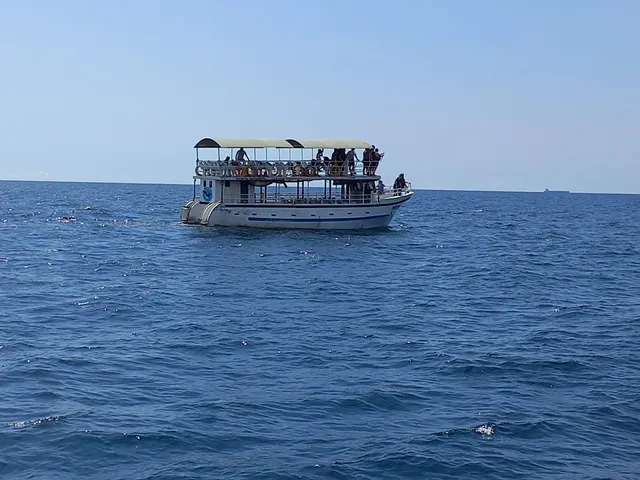 Whale watching Mirissa with Geeth