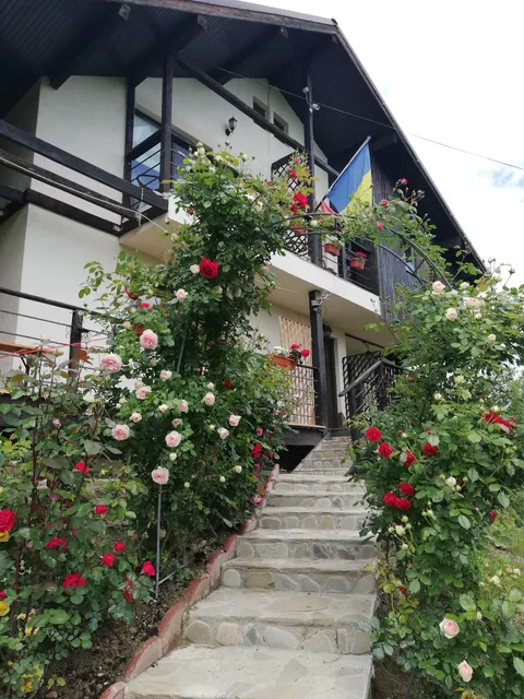 House With Roses 1