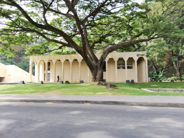 Arte Moderno la Tertulia-de la Cana de Azucar Hacienda Pie de Chinche