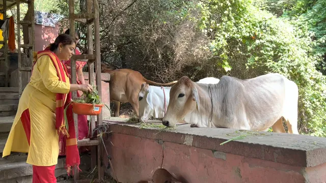 place image