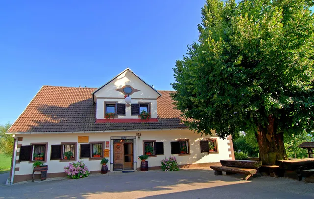 Grofija - Turistična Kmetija - Majda Vrhovec - Dopolnilna dejavnost na kmetiji