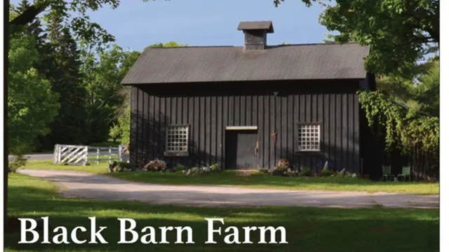 Black Barn Farm
