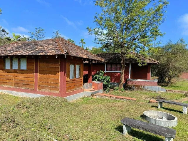 Jungle Mount Adventures