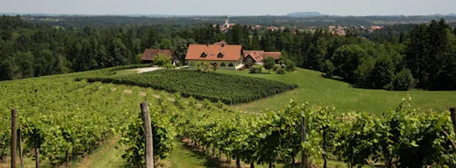 Weingut Trapl