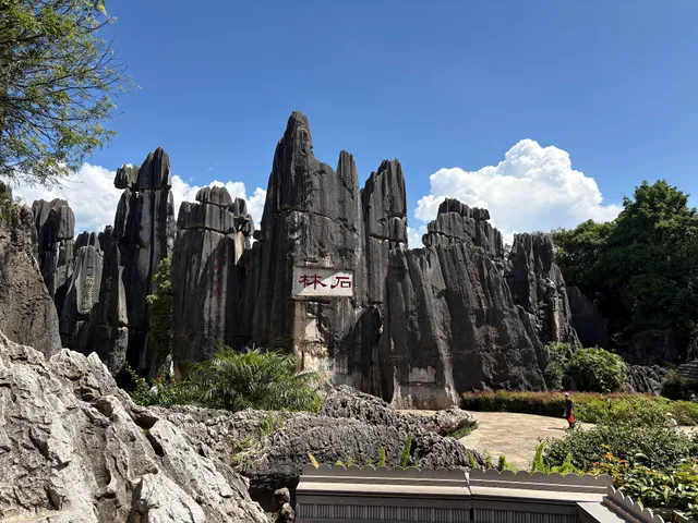 Stone Forest Scenic