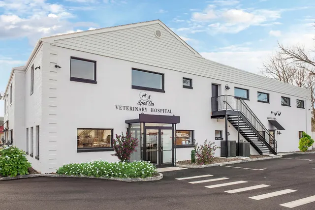 Spot On Veterinary Hospital & Hotel - Stamford