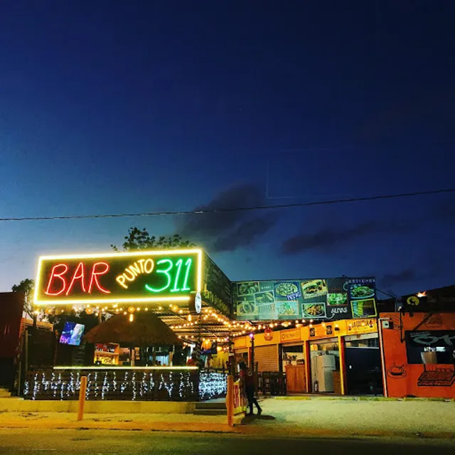 Punto 311
