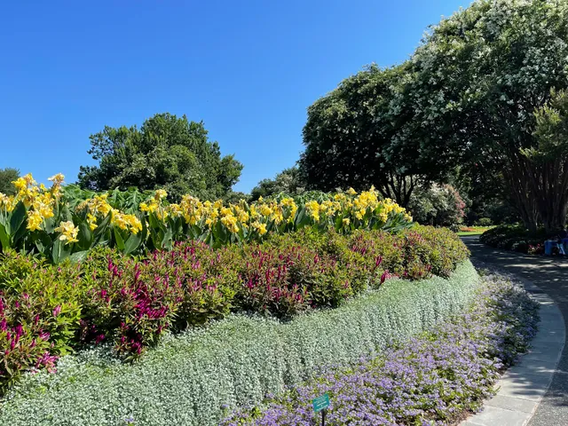 Margaret Elizabeth Jonsson Color Garden