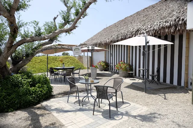 Boulevard Playa del Carmen