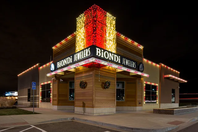 Christmas Light Professionals