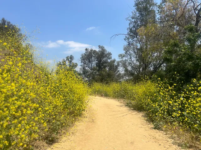 Elysian Park West Loop Trailhead