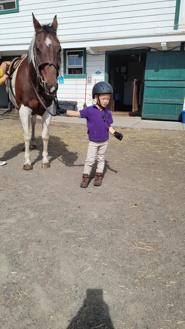 Seaton Hackney Stables -Equishare USA, LLC