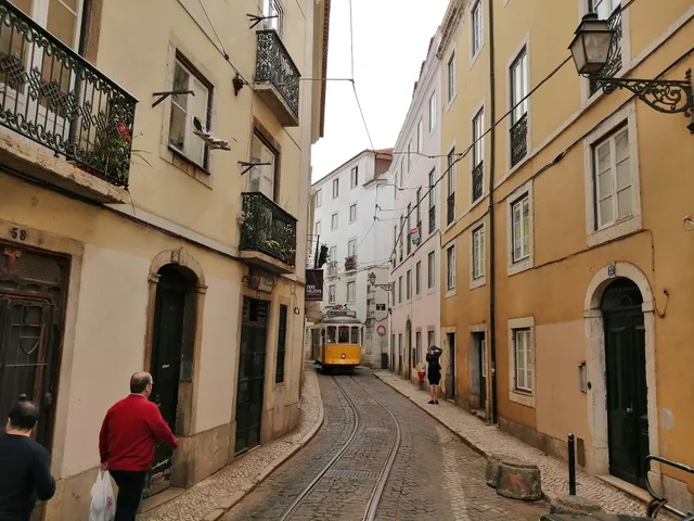 Alfama 2 You