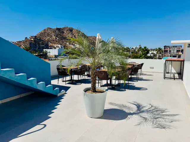 Colmena Hotel Los Cabos Marina