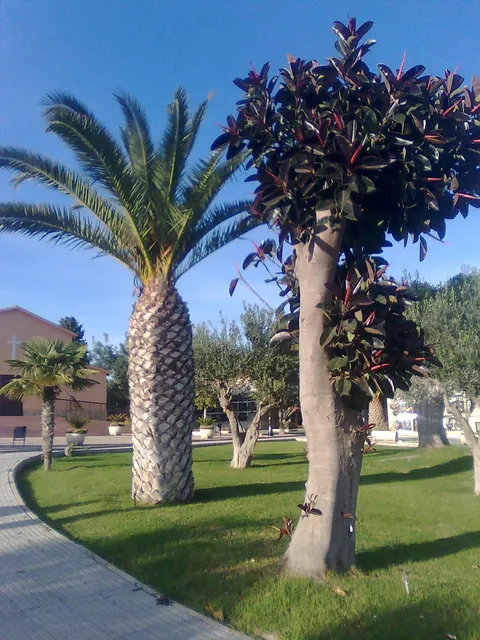 Cementeri nou de Sant Jaume Apòstol