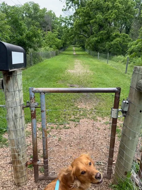 Off Leash Dog Park